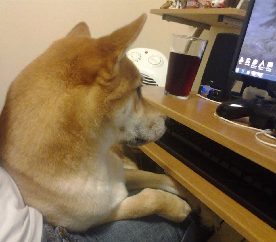 中国足球青训基地设施建设标准不断提升，中国足球青训体系是什么